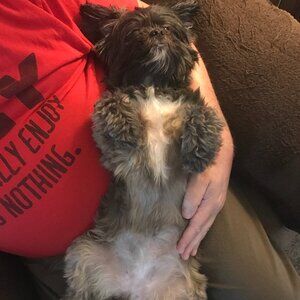 Meet your Posher, Robert